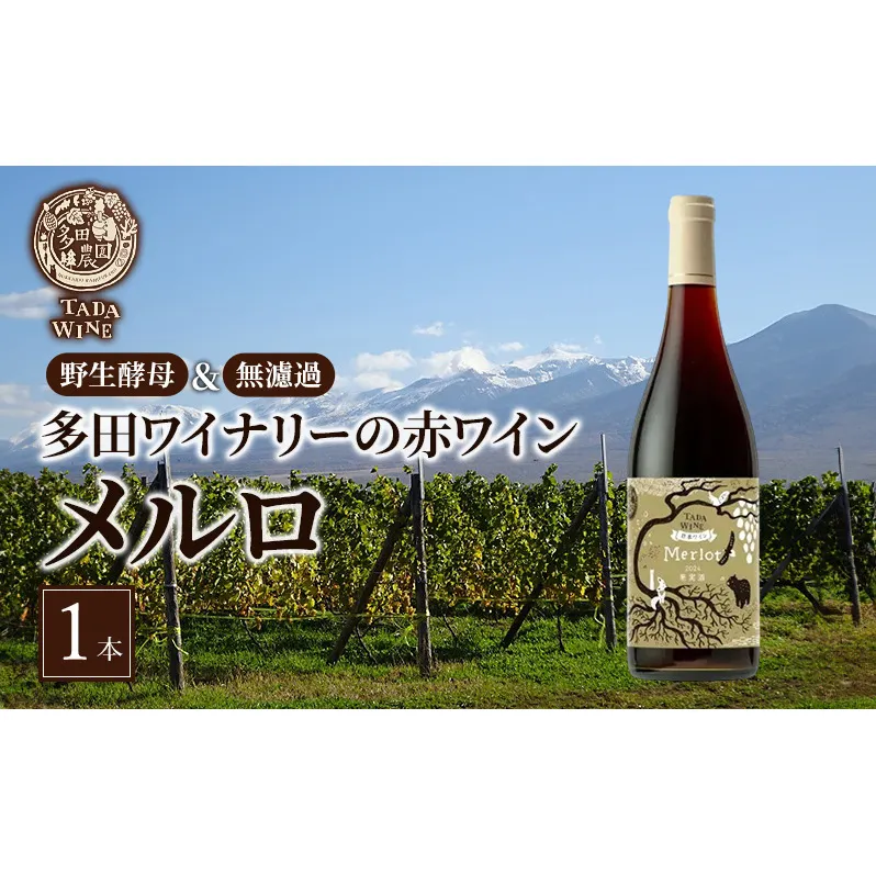 【野生酵母＆無濾過】多田ワイナリーの赤ワイン【メルロ】1本 ワイン ミディアムボディお酒 アルコール 晩酌 家飲み 宅飲み