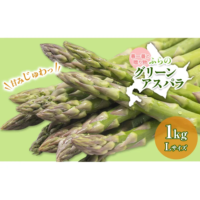 【令和8年産】アスパラガス グリーンアスパラ 1kg Lサイズ アスパラ 野菜 北海道 上富良野町 ふらの農業協同組合
