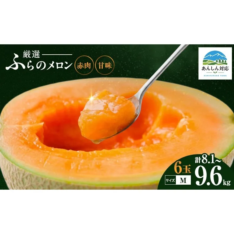 赤肉メロン 6玉セット 富良野 北海道 厳選 直送 甘味 Mサイズ 各1.35kg～1.6kg 6玉 ファーム富良野 メロン めろん ふらのメロン 果物 くだもの フルーツ デザート 北海道上富良野町