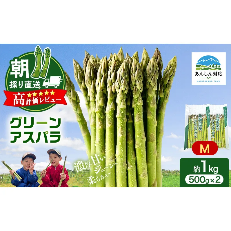 【令和9年産】2027年発送 先行予約 アスパラ 専門農家 の 特選 グリーンアスパラ 1kg M アスパラガス 原農園 朝採りアスパラ 野菜 北海道 上富良野町 グリーンアスパラ