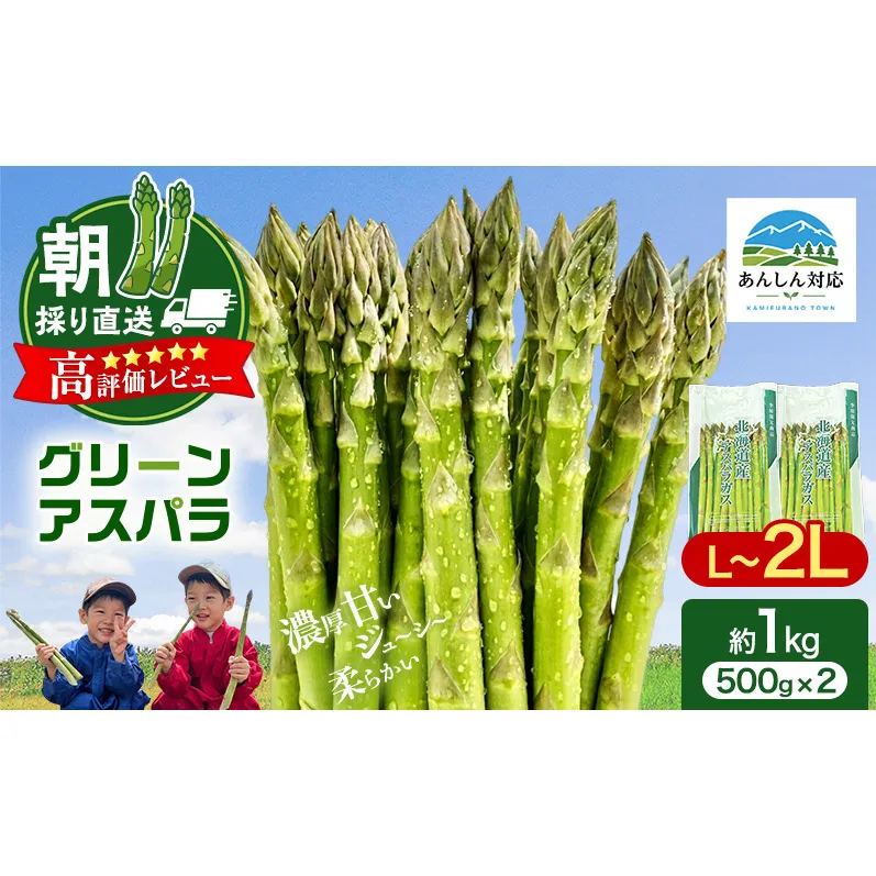 【令和9年産】2027年発送 先行予約 アスパラガス 専門農家 の 特選 グリーンアスパラ 1kg  L～2L 原農園 アスパラ 朝採りアスパラ 野菜 北海道 上富良野町