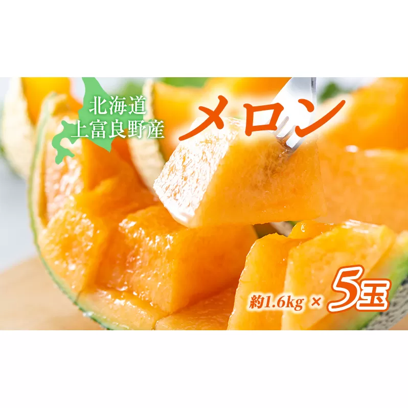 【2024年発送】かみふらの 赤肉メロン 約1.6kg 5玉 セット 北海道 上富良野町 メロン 先行予約 令和6年発送 果物類 フルーツ メロン赤肉 