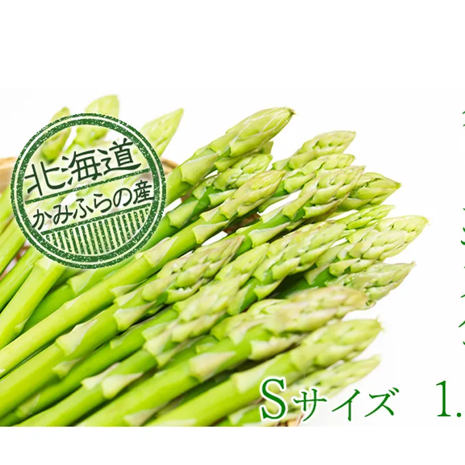 上富良野町産グリーンアスパラ[露地]約1.5kg(Sサイズ) アスパラガス 野菜 グリーンアスパラガス 