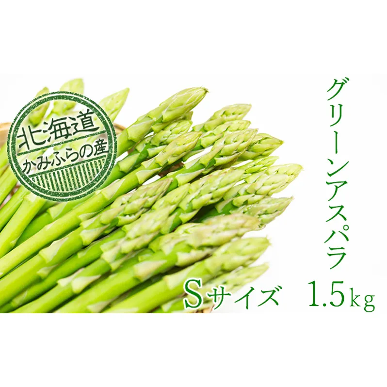 【令和8年産】上富良野町産グリーンアスパラ[露地]約1.5kg(Sサイズ) アスパラガス 野菜 グリーンアスパラガス 