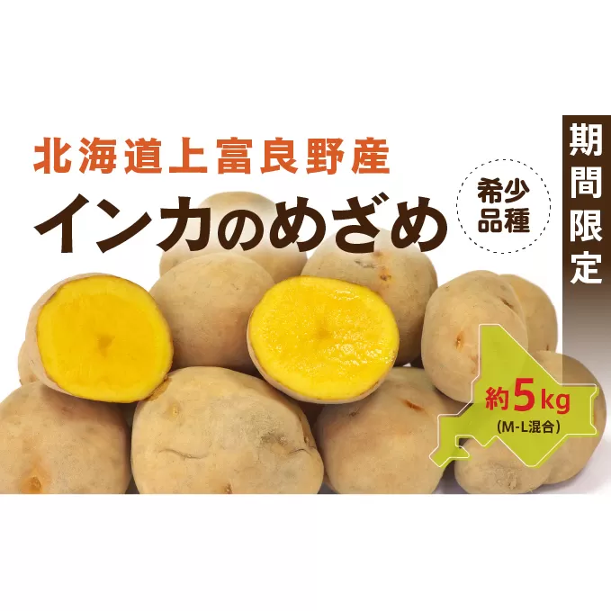 じゃがいも【インカのめざめ】約5kg（M～L混合）≪北海道上富良野産≫ 野菜 
