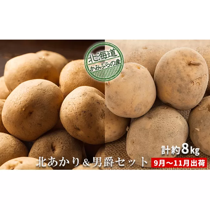 新じゃがいも2種食べ比べセット計約8kg≪北海道上富良野産≫ 野菜 