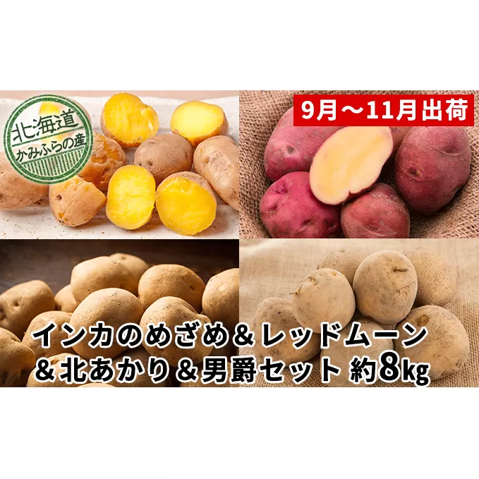 じゃがいも4種食べ比べセット計約8kg≪北海道上富良野産≫ 野菜 