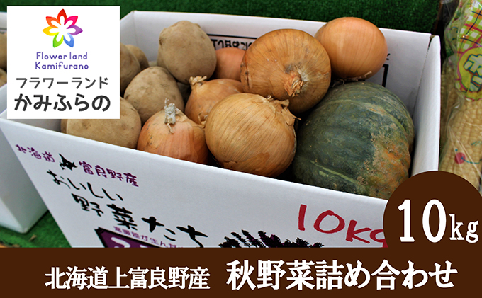 北海道 上富良野 町産 秋野菜 詰め合わせ セット 約 10kg 北海道 上富良野 町産 秋野菜 詰め合わせ セット 約 10kg