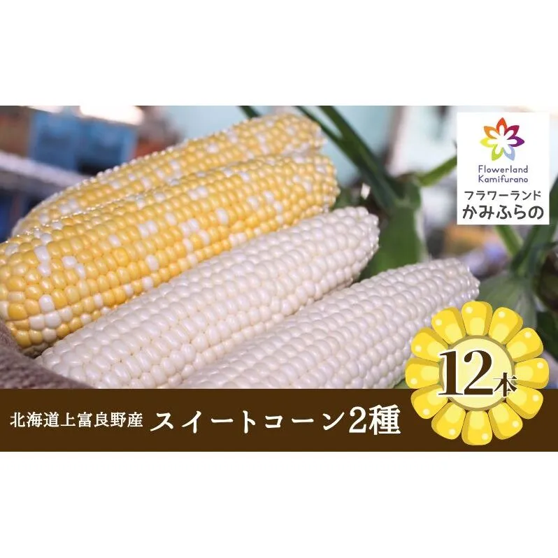 【令和8年産】北海道 上富良野 町産 スイートコーン 2種 セット 食べ比べ バイカラー 6本 白色 6本 計12本 野菜 とうもろこし トウモロコシ コーン 産地直送 野菜