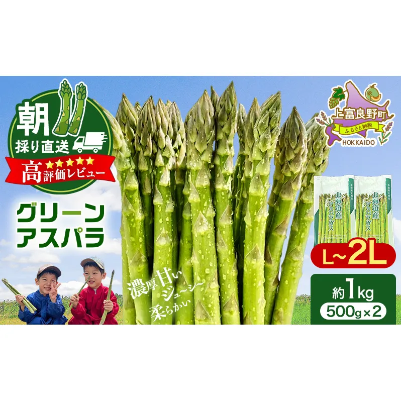 【令和8年産】アスパラガス 専門農家 の 特選 グリーン アスパラ 1kg  L～2L 原農園 アスパラ あすぱら 野菜 北海道 上富良野町