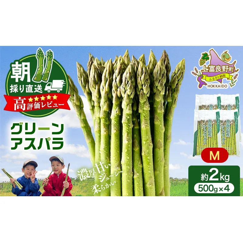 【令和8年産】アスパラ 専門農家 の 特選 グリーン アスパラ 2kg M アスパラガス 原農園 あすぱら 野菜 北海道 上富良野町 グリーンアスパラ 