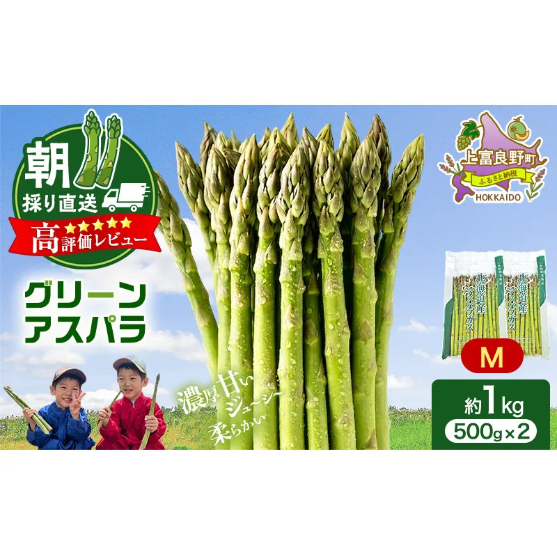 【令和8年産】アスパラ 専門農家 の 特選 グリーンアスパラ 1kg M アスパラガス 原農園 朝採りアスパラ 野菜 北海道 上富良野町 グリーンアスパラ