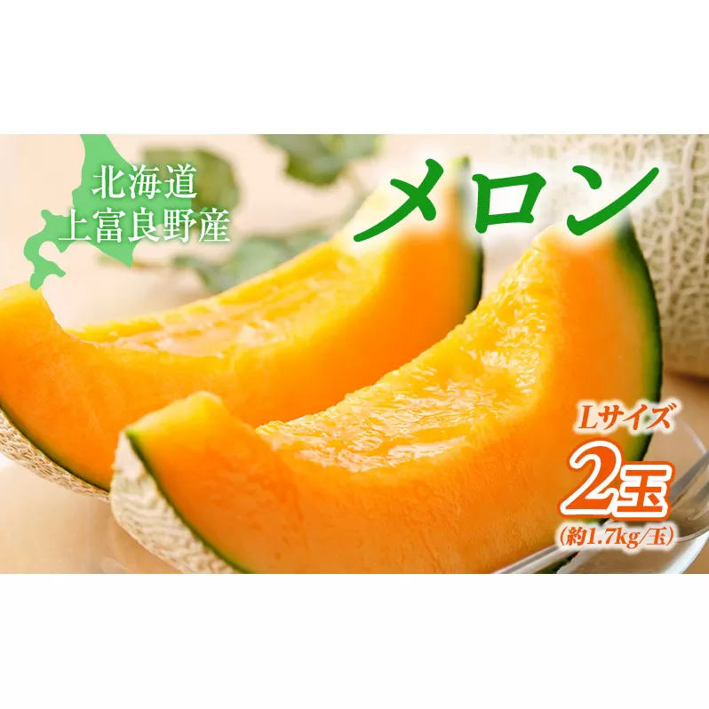 【糖度限界突破】ふらの赤肉メロン Lサイズ（約1.7kg/玉）2玉 2025年発送 北海道 富良野 上富良野 ふらの 赤肉 メロン めろん フルーツ 果物 ふるーつ 果物類 メロン赤肉 