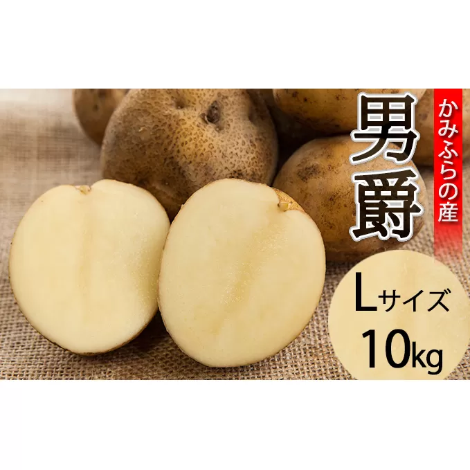 北海道 上富良野町 産 じゃがいも 男爵 10kg 野菜 ジャガイモ 