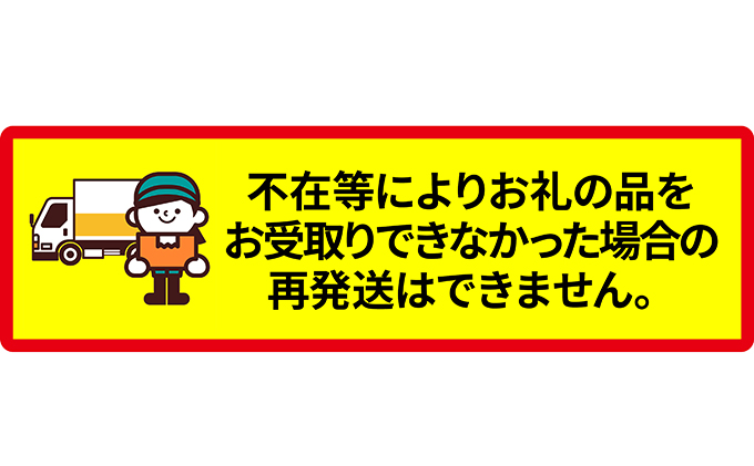 栃木県より産地直送 渡辺さんちのTちゃんいちご(とちあいか