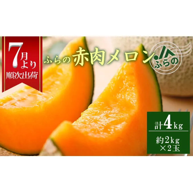 2025年夏発送  JAふらの厳選！ふらの 赤肉 メロン 2kg×2玉  メロン めろん 富良野メロン 果物 くだもの フルーツ 富良野 デザート 北海道 贈り物 ギフト 果物類 メロン赤肉 赤肉メロン 