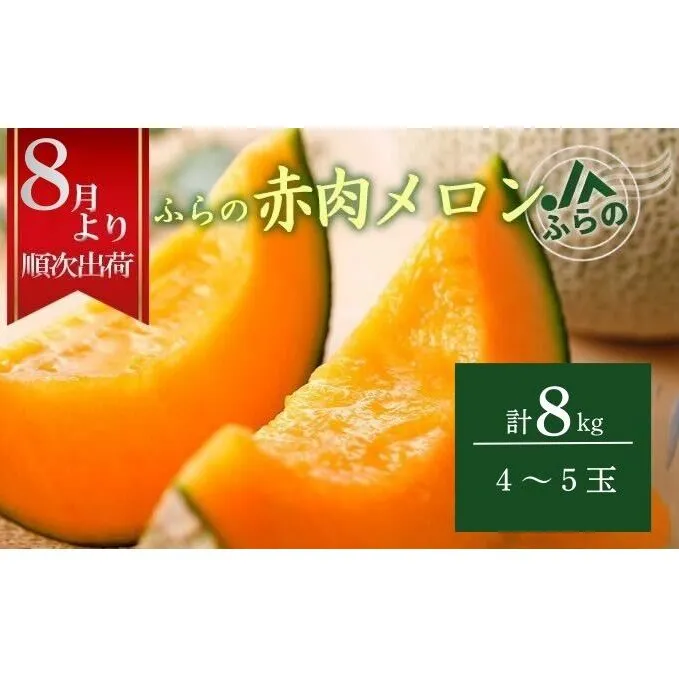 2026年夏発送 メロン 北海道 ふらの 赤肉 メロン 4～5玉（計8kg） JAふらの 厳選 産地直送 赤肉 富良野メロン フルーツ 果物 果実 旬 旬のくだもの デザート おやつ ギフト プレゼント 贈答 贈答用 贈答品 贈り物 富良野