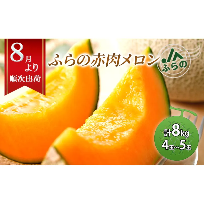 2026年夏発送 メロン 北海道 ふらの 赤肉 メロン 4～5玉（計8kg） JAふらの 厳選 産地直送 赤肉 富良野メロン フルーツ 果物 果実 旬 旬のくだもの デザート おやつ ギフト プレゼント 贈答 贈答用 贈答品 贈り物 富良野
