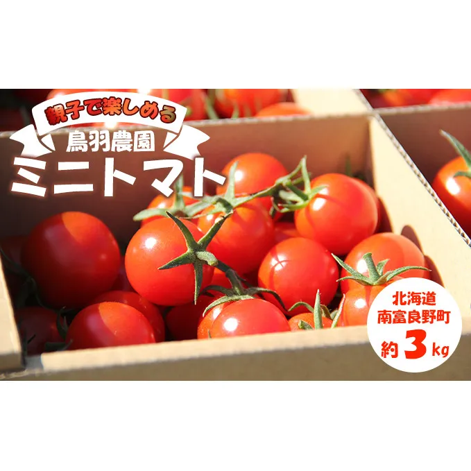 あま～い！ ミニトマト 約3kg 北海道 南富良野町 鳥羽農園 トマト とまと ミニトマト 野菜 大容量 甘っこ 甘い