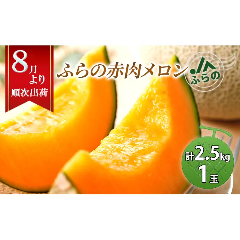 2026年夏発送  メロン 北海道 ふらの 赤肉メロン 約2.5kg×1玉 JAふらの 厳選 産地直送 赤肉 富良野メロン フルーツ 果物 果実 旬 旬のくだもの デザート おやつ めろん 富良野 
