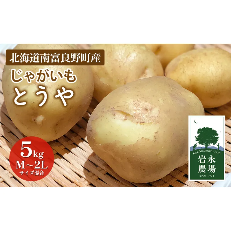 【2025秋～発送】 北海道 南富良野町 じゃがいも「とうや」5kg(M～2Lサイズ混合) じゃがいも ジャガイモ とうや 野菜 やさい 北海道野菜 北海道産じゃがいも 