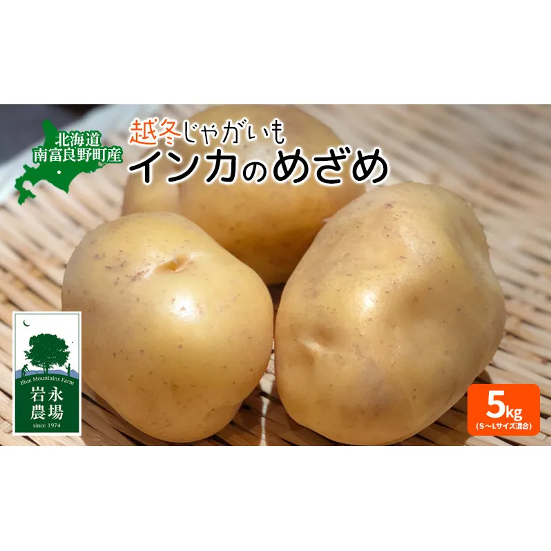 北海道 南富良野町 越冬じゃがいも「インカのめざめ」5kg(S～Lサイズ混合) 越冬 じゃがいも ジャガイモ インカ インカの目覚め 野菜 やさい 芋 北海道野菜 北海道産じゃがいも 