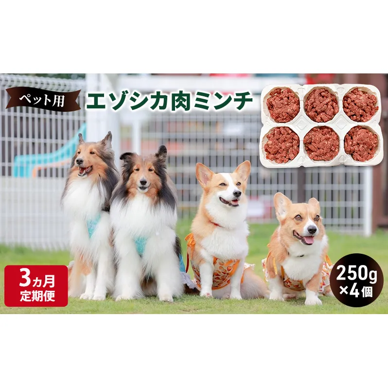 3ヵ月定期便 ペットのおやつ【エゾシカ肉のミンチ】250g×4 南富フーズ株式会社 鹿肉 ジビエ 餌 犬 猫 鹿 ペット 健康 無添加 肉 北海道 南富良野町 エゾシカ