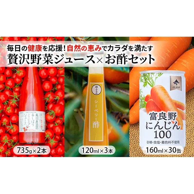 南富良野の美味しさゴクゴク！カラダに優しくバラエティ溢れる　飲料定期便 [ 健康 美容 免疫 ミニトマト トマト ジュース 食塩無添加 シーベリー ベリー 酢 調味料 ドレッシング 飲料 野菜 野菜ジュース にんじん 人参ジュース ]