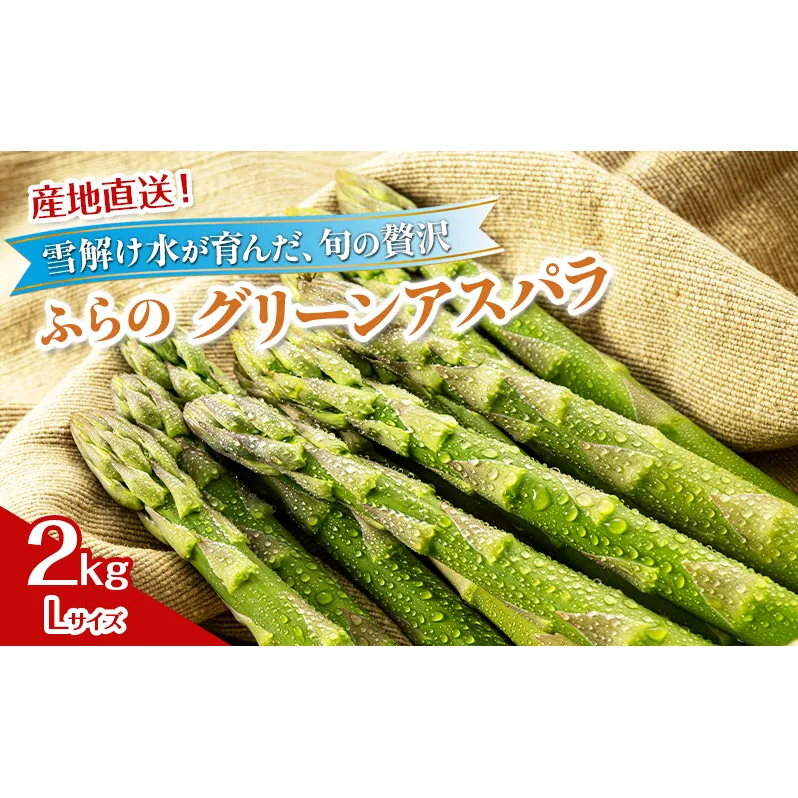 2026年夏発送！ [JAふらの厳選]富良野産 グリーンアスパラ Lサイズ 約2kg アスパラ 野菜 アスパラガス