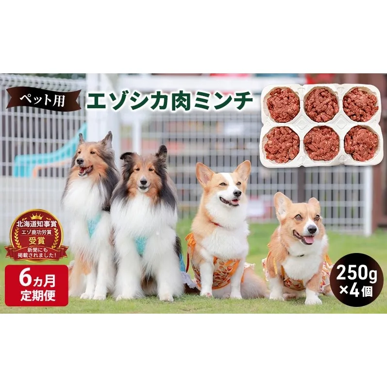6ヵ月定期便 ペットのおやつ【エゾシカ肉のミンチ】250g×4 南富フーズ株式会社 鹿肉 ジビエ 餌 犬 猫 鹿 ペット 健康 無添加 肉 北海道 南富良野町 エゾシカ