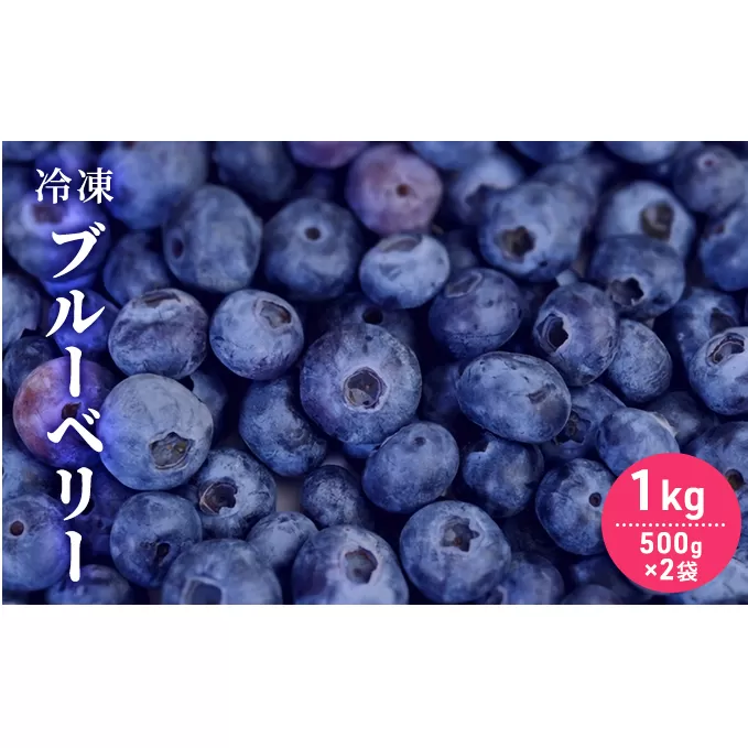 自家農園産・冷凍ブルーベリー1kg（500g×2袋） 北海道 南富良野町 ブルーベリー 果実 冷凍 大容量 冷凍ブルーベリー 果物 フルーツ セット 詰め合わせ 