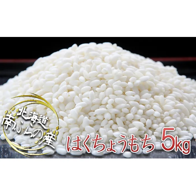 ふらの産精米もち米【はくちょうもち】5kg（1kg×5袋） 北海道 南富良野町 もち米 はくちょうもち お米 米 2020年産 新米 