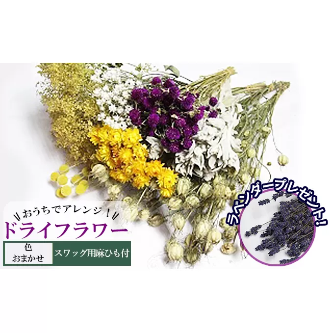 ＜おうちでアレンジ！＞ドライフラワー（色おまかせ）プレゼント付 北海道 南富良野町 ドライフラワー 花 お花 華 花束 ファッション小物 インテリア 贈り物 