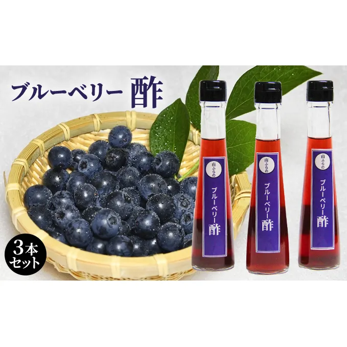 ブルーベリー酢 3本セット 北海道 南富良野町 ブルーベリー ベリー 酢 調味料 セット 詰合せ ドレッシング ソース たれ ブルーベリー酢 
