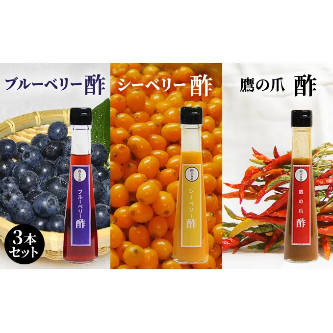 ブルーベリー・シーベリー・鷹の爪の酢 3本セット 北海道 南富良野町 鷹の爪 シーベリー ブルーベリー ベリー 酢 調味料 セット 詰合せ ドレッシング ソース たれ 果実酢 シーベリー 
