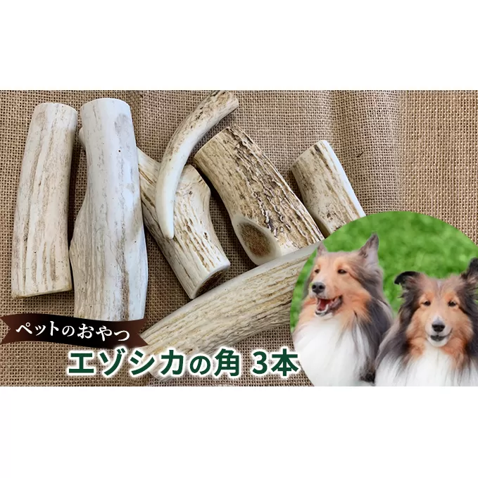 ペットのおやつ【エゾシカ角】3本セット 北海道 南富良野町 ペット おやつ 餌 エゾシカ 鹿 角 犬 大型犬 中型犬 小型犬 雑貨 日用品 ペット用品 