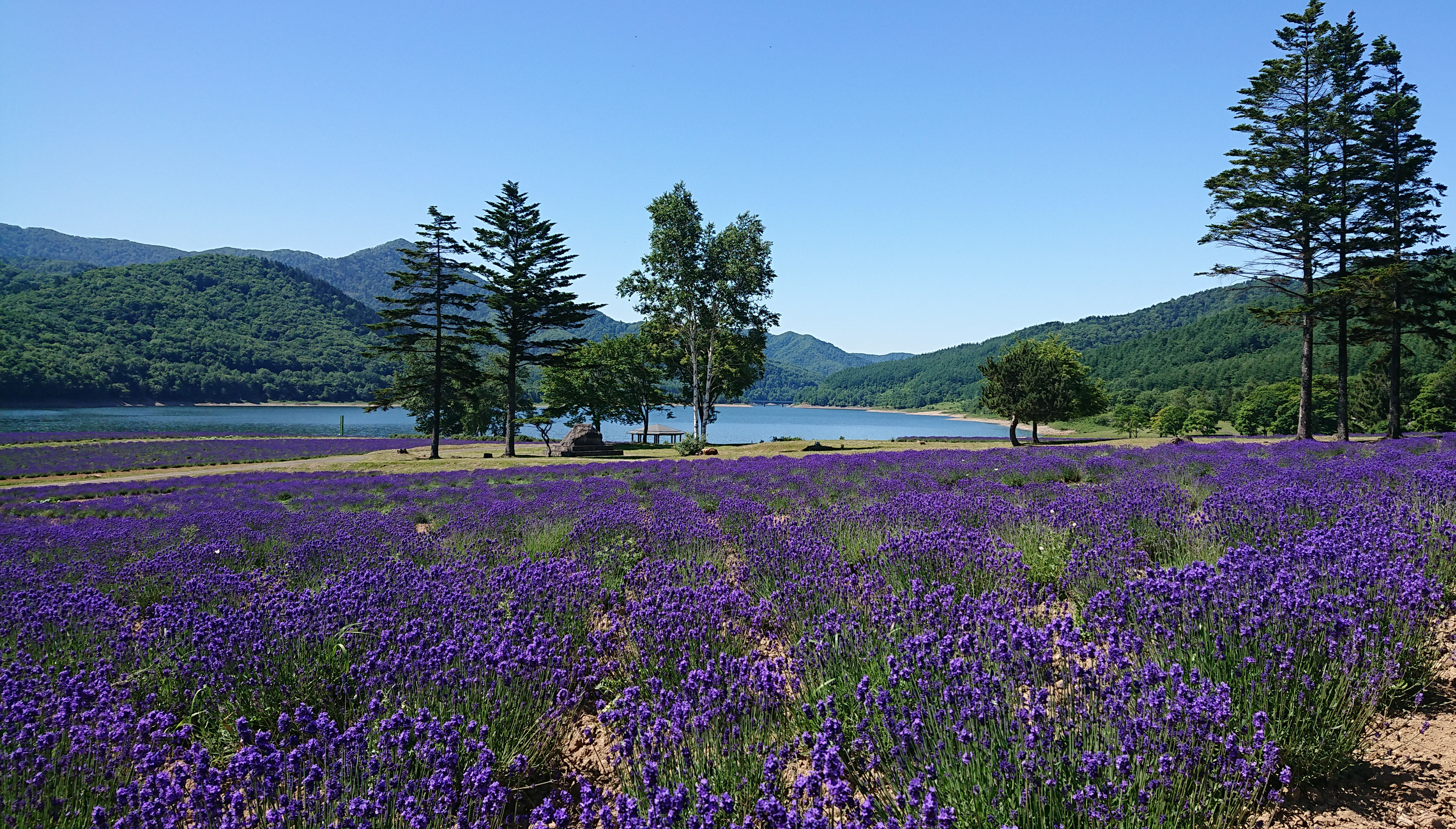 北海道南富良野町