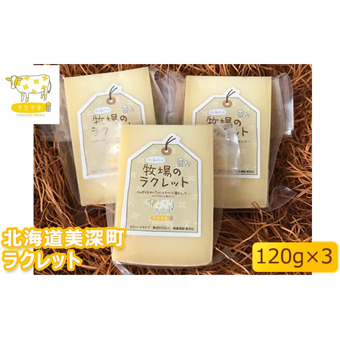 北海道美深町 ラクレット120g×3【北ぎゅう舎】 加工食品 乳製品 チーズ 