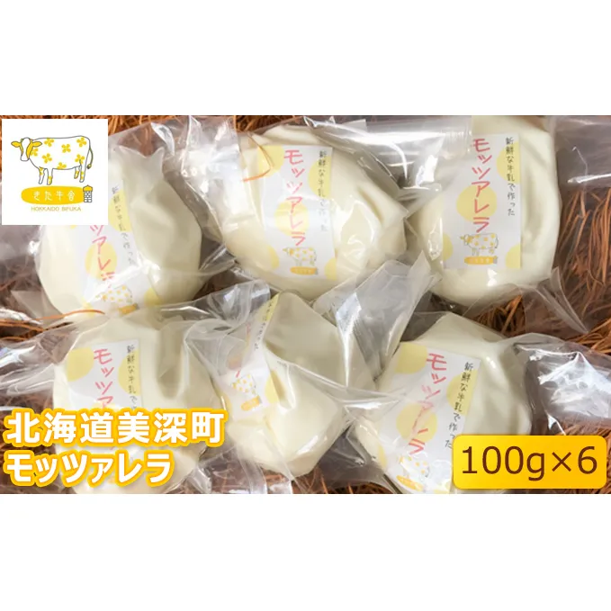 北海道美深町 モッツァレラ100g×6【北ぎゅう舎】 加工食品 乳製品 チーズ 