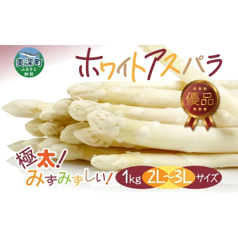 2026年発送  ホワイトアスパラ 1kg(2L～3L ）【優品】 白旬 新鮮 野菜 朝採れ アスパラ アスパラガス ギフト 産地直送 お取り寄せ フレッシュ 甘い 春 春野菜 旬の味覚  季節 送料無料 北海道産 美深町