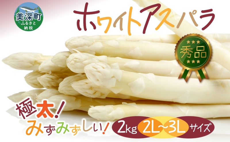 早割クーポン！ 2025年発送】 旬 白 】 秀品 )【 2kg(2L～3L ホワイトアスパラ 野菜
