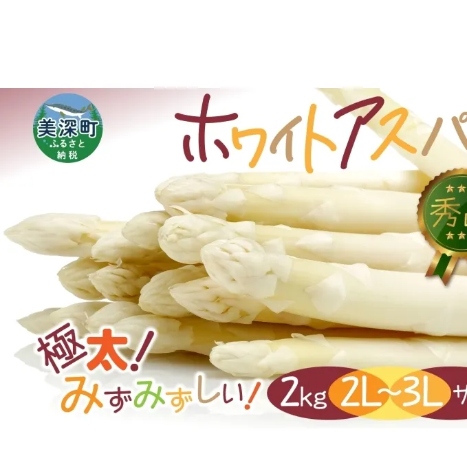 【2025年発送】 ホワイトアスパラ 2kg(2L～3L )【 秀品 】 白 旬 新鮮 野菜 朝採れ アスパラ アスパラガス ジューシー ギフト 産地直送 お取り寄せ フレッシュ 丁寧 健康 美容 簡単調理