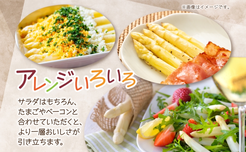 2025年発送】 ホワイトアスパラ 2kg(2L～3L )【 秀品 】 白 旬