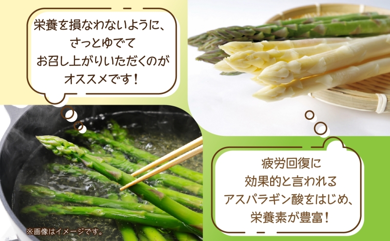 【セール 登場から人気沸騰】 2025年発送】 ホワイトアスパラ 旬 白 】 秀品 )【 2kg(2L～3L 野菜