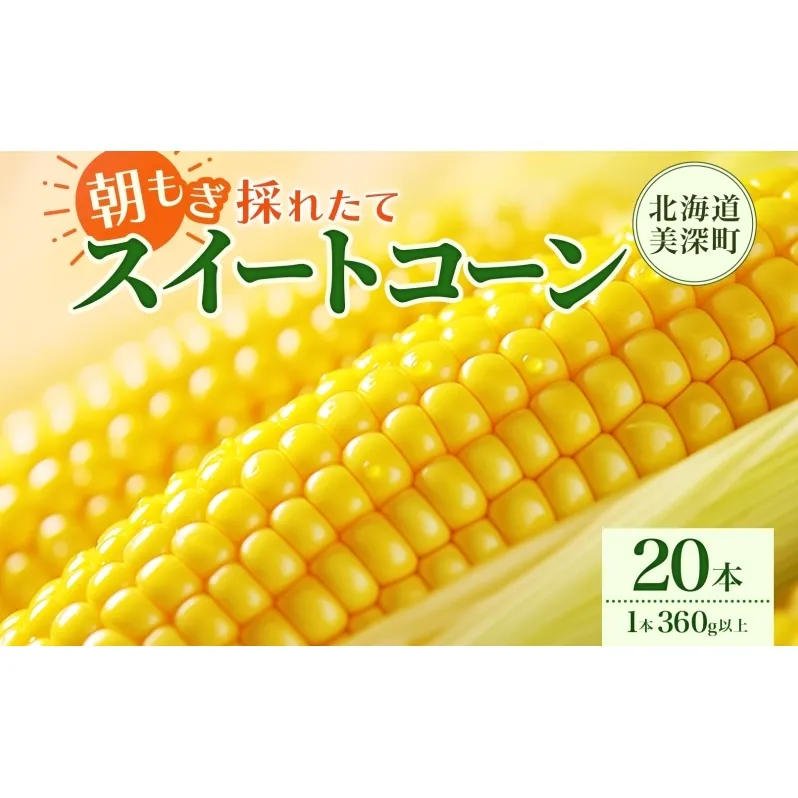 とうもろこし 20本 スイートコーン トウモロコシ コーン 甘い 採れたて 朝採り 野菜 旬の野菜 農作物 お取り寄せ 北海道産 産地直送 北海道 美深町 お届け：2026年8月3日～2026年8月28日