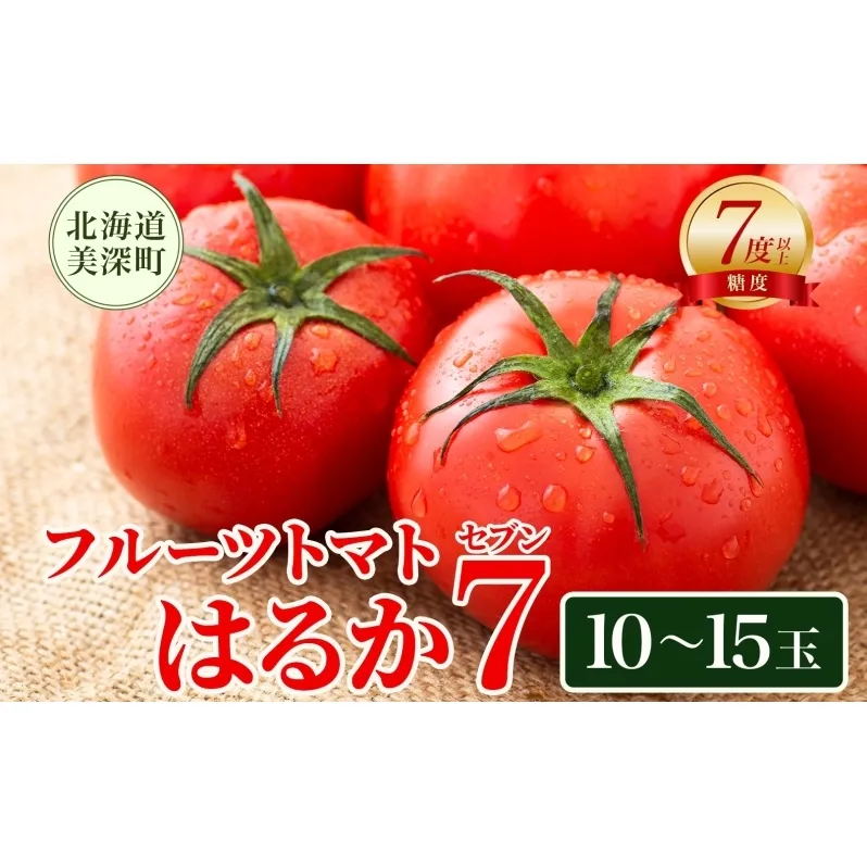 【2025年発送】 糖度7度以上 フルーツトマト はるか7（セブン） 10～15玉 トマト 野菜 夏 野菜 旬 甘い 濃厚 果物 フルーツ 高糖度 新鮮 産地直送 北海道 美深町