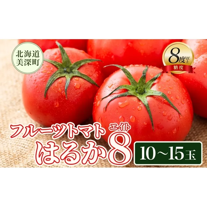 【2025年発送】 糖度8度以上 フルーツトマト はるか8（エイト） 10～15玉 トマト 野菜 夏 野菜 旬 甘い 濃厚 果物 フルーツ 高糖度 新鮮 産地直送 北海道 美深町