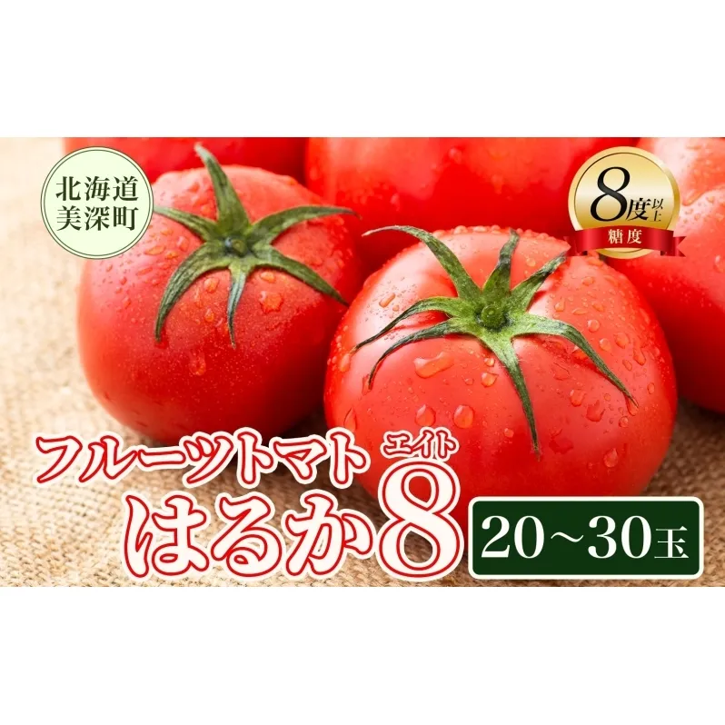 【2025年発送】 糖度8度以上 フルーツトマト はるか8（エイト） 20～30玉 トマト 野菜 夏 野菜 旬 甘い 濃厚 果物 フルーツ 高糖度 新鮮 産地直送 北海道 美深町