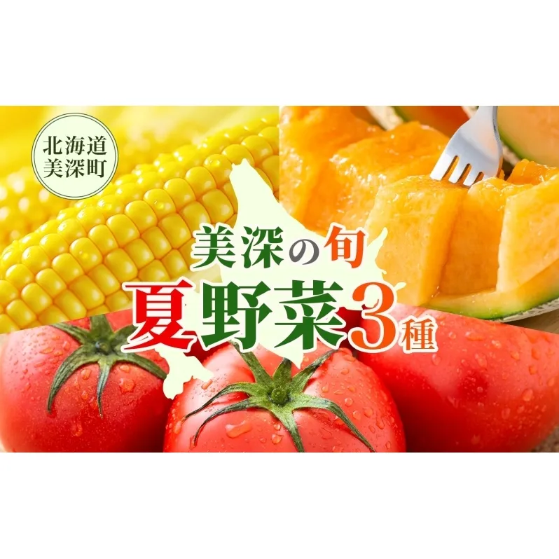【2025年発送】 美深の旬の夏野菜3種 （フルーツトマト・メロン・とうもろこし） 夏 野菜 旬 甘い 濃厚 果物 フルーツ 高糖度 新鮮 朝採れ もぎたて 産地直送 北海道 美深町