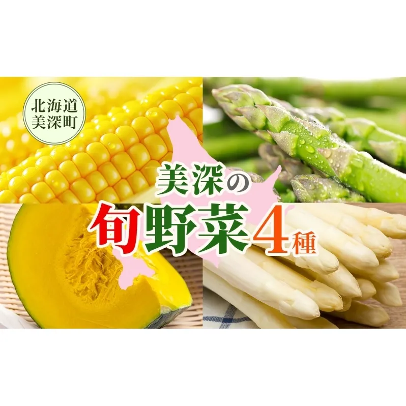 年4回定期便 2026年発送 美深の旬の野菜セット ホワイトアスパラ グリーンアスパラ カボチャ かぼちゃ くりゆたか スイートコーン とうもろこし 秀品 産地直送 野菜 旬 食材 フレッシュ お取り寄せ 北海道 美深町